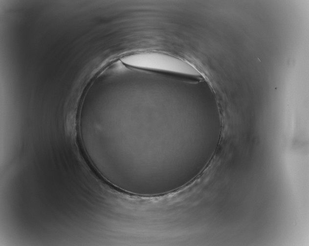 X0000089720002200707051728