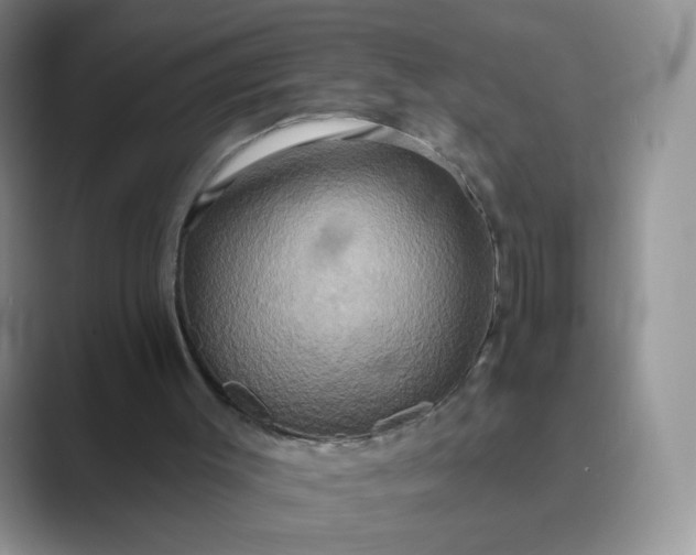 X0000089720003200707051728