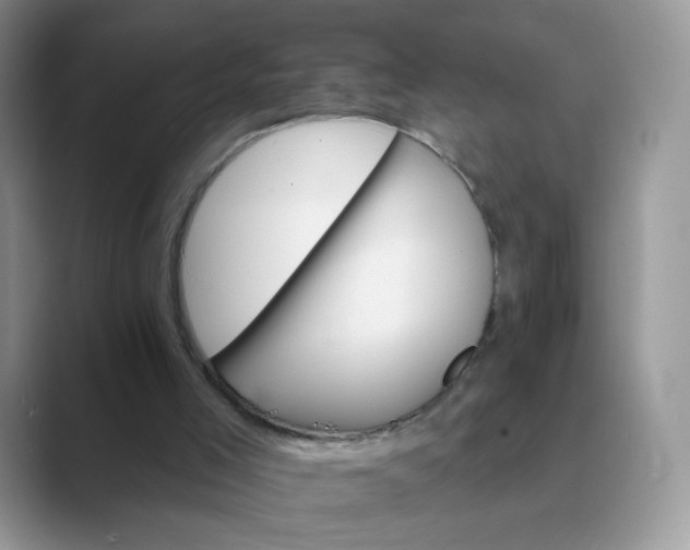 X0000089720005200707051728