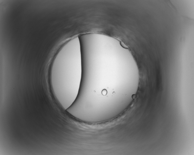 X0000089720006200707051728