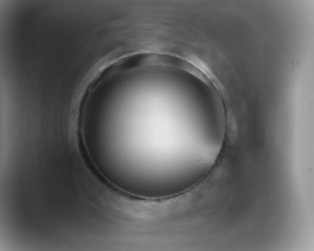 X0000089720007200707051728