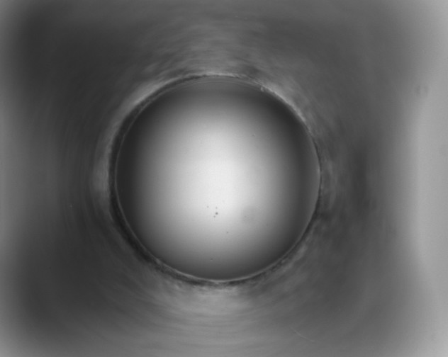 X0000089720008200707051728