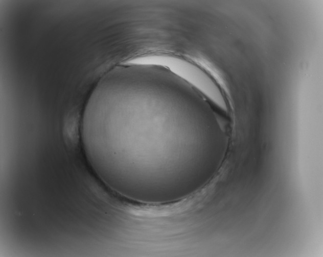 X0000089720009200707051728