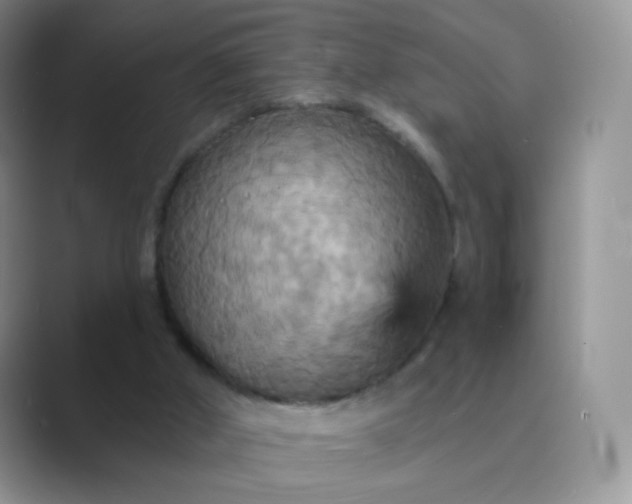 X0000089720010200707051728