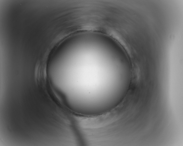 X0000089720011200707051728