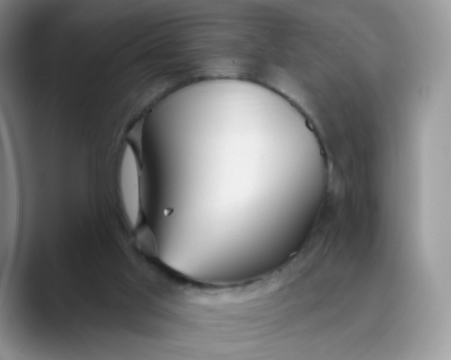 X0000089720013200707051728