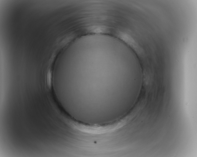 X0000089720014200707051728