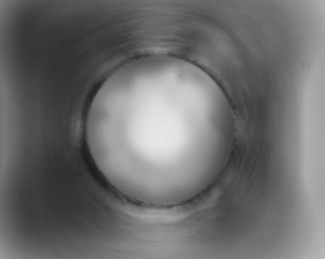 X0000089720016200707051728