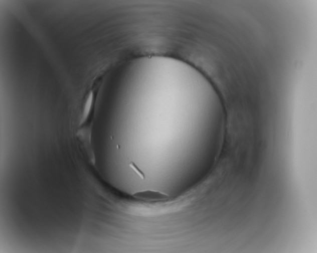 X0000089720017200707051728