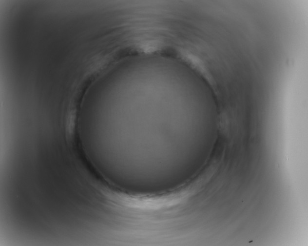 X0000089720018200707051728