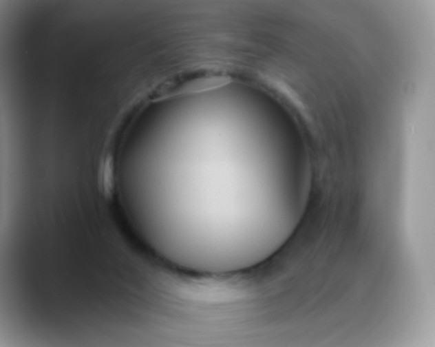 X0000089720020200707051728