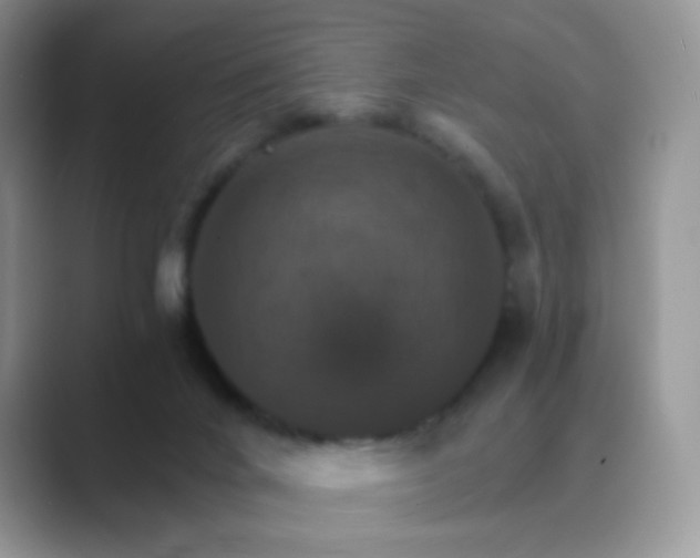 X0000089720024200707051728