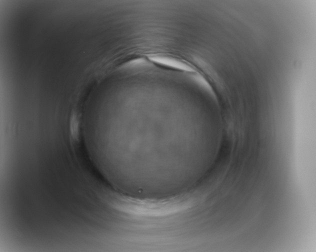 X0000089720026200707051728