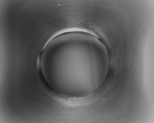 X0000089720027200707051728