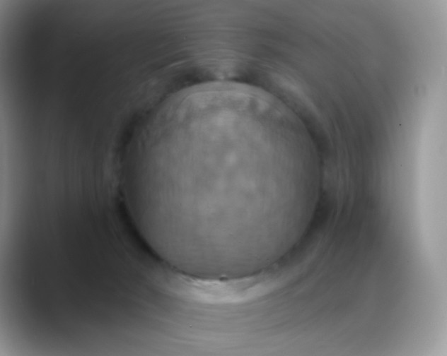 X0000089720030200707051728