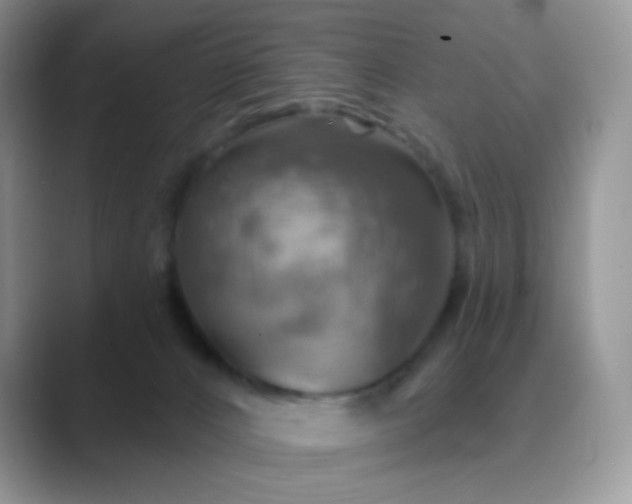 X0000089720032200707051728