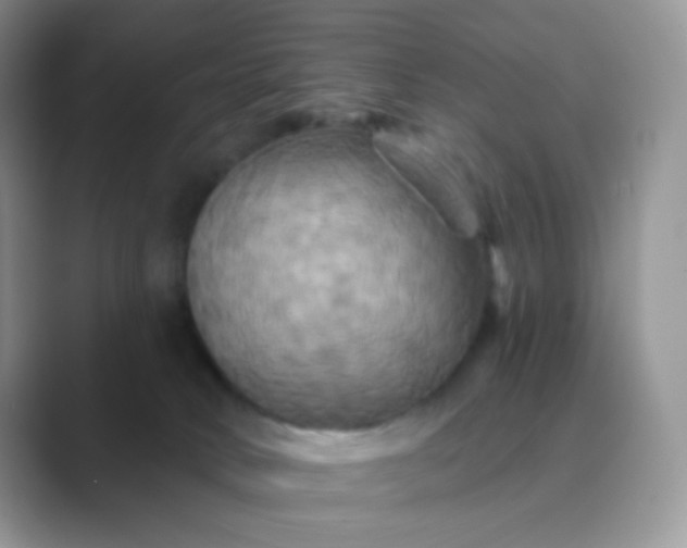 X0000089720034200707051728