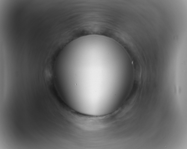 X0000089720040200707051728