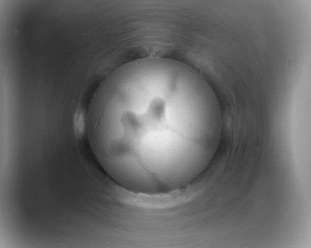 X0000089720042200707051728