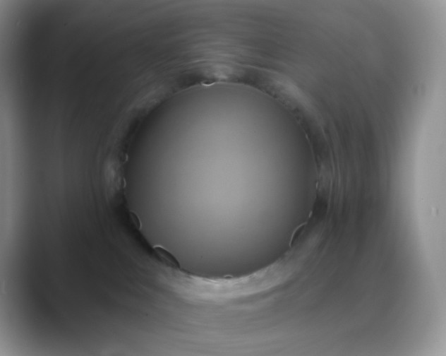 X0000089720043200707051728