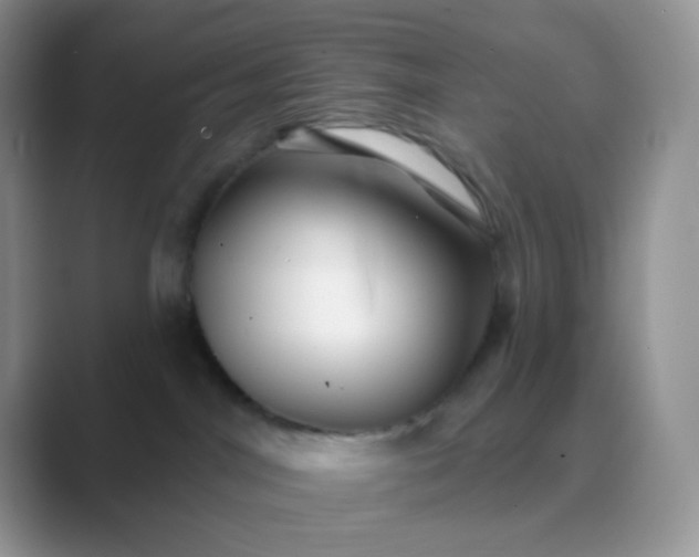 X0000089720044200707051728