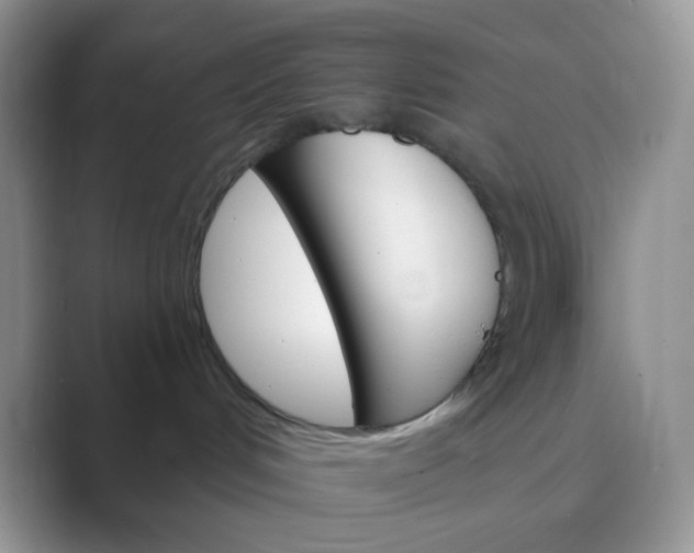 X0000089720048200707051728