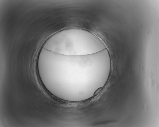 X0000089720049200707051727