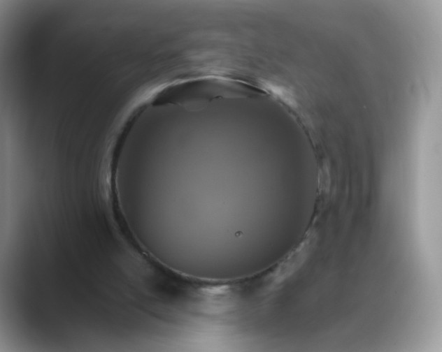 X0000089720054200707051727