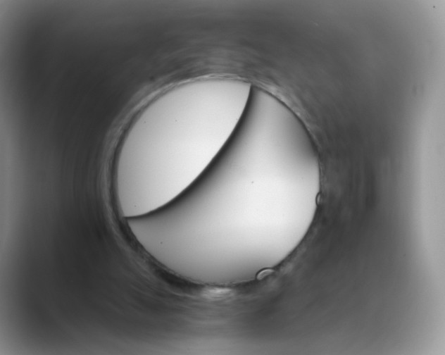 X0000089720055200707051727
