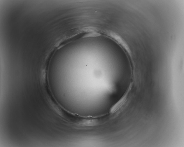 X0000089720057200707051727