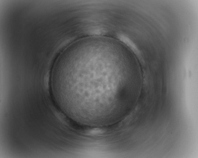 X0000089720058200707051727