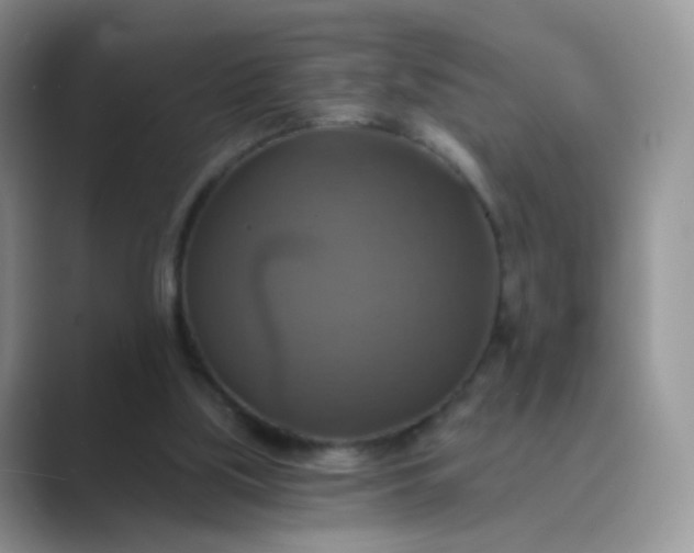 X0000089720059200707051727