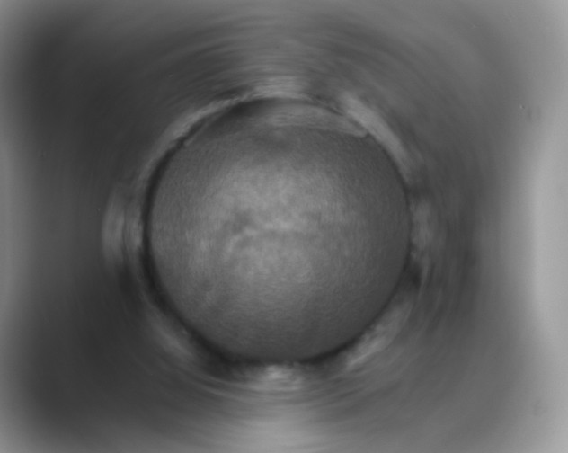 X0000089720060200707051727