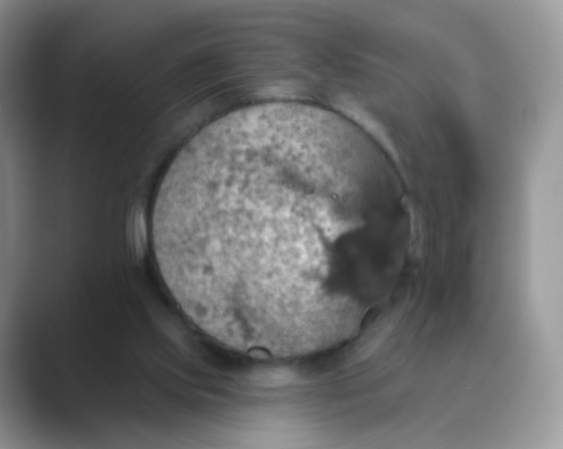 X0000089720061200707051727