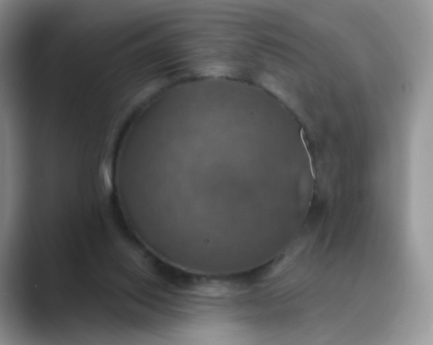 X0000089720062200707051727