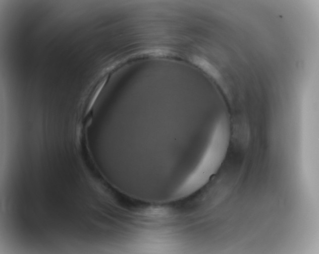 X0000089720063200707051727
