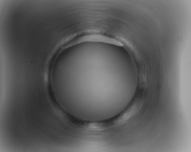 X0000089720064200707051728