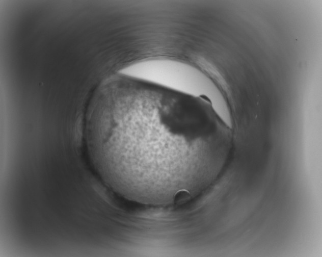 X0000089720065200707051728