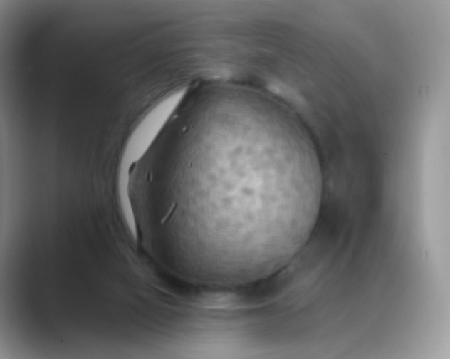 X0000089720066200707051728