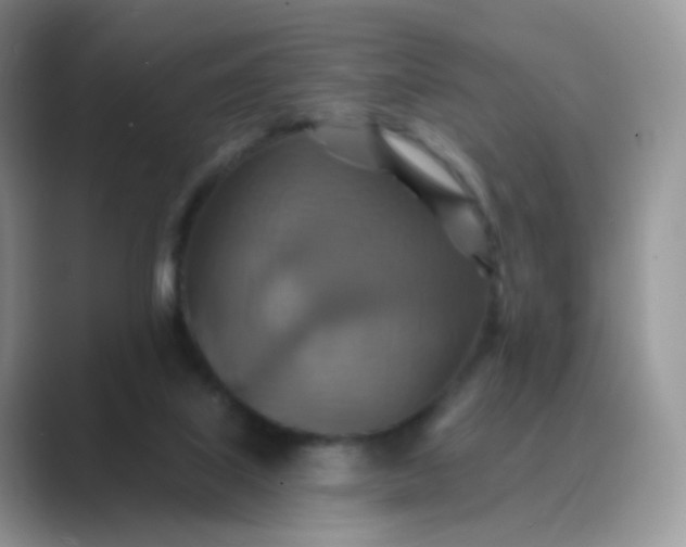 X0000089720067200707051728