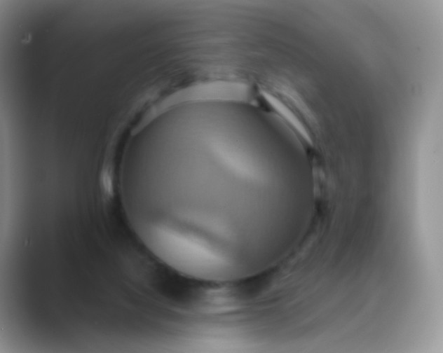 X0000089720068200707051728