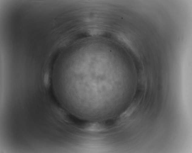 X0000089720074200707051728