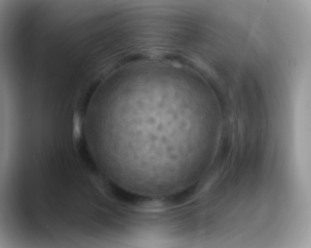 X0000089720075200707051728