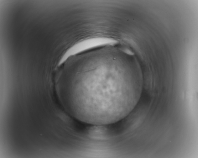 X0000089720077200707051728