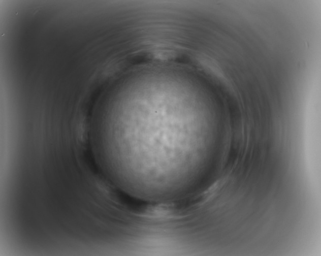 X0000089720078200707051728