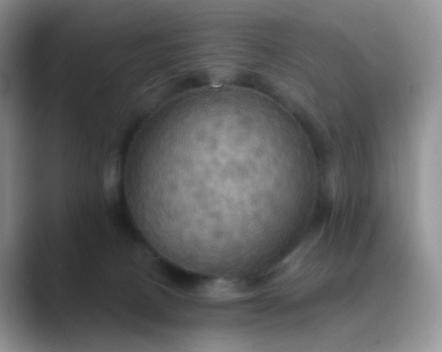 X0000089720082200707051728