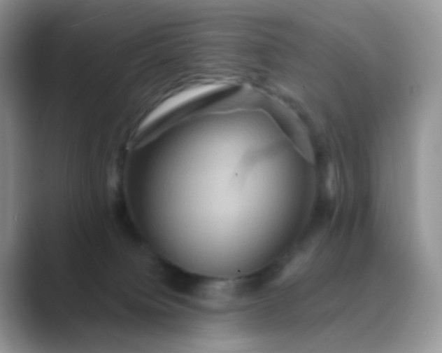 X0000089720084200707051728