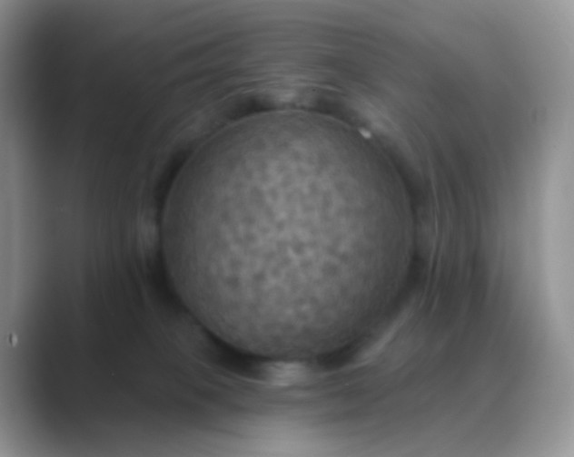 X0000089720085200707051728