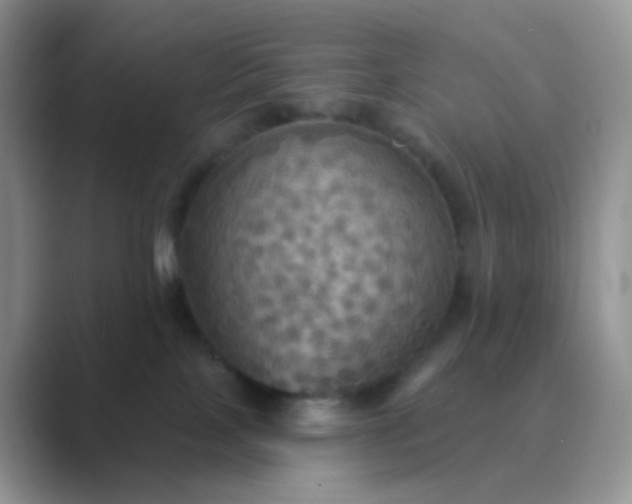 X0000089720089200707051728