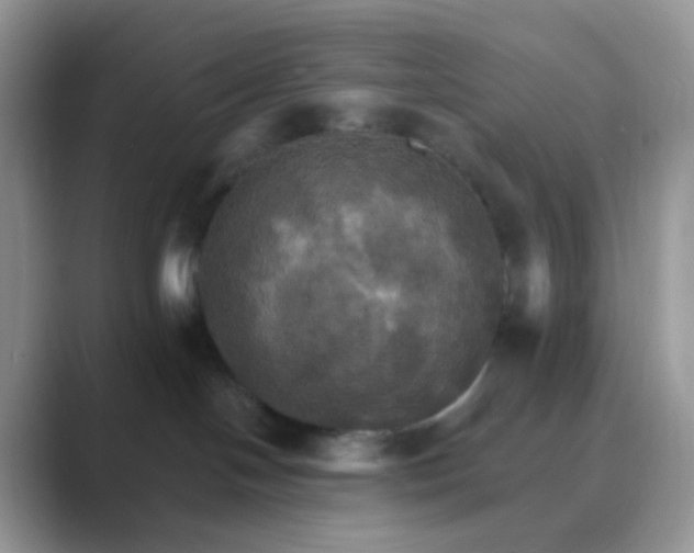 X0000089720094200707051728